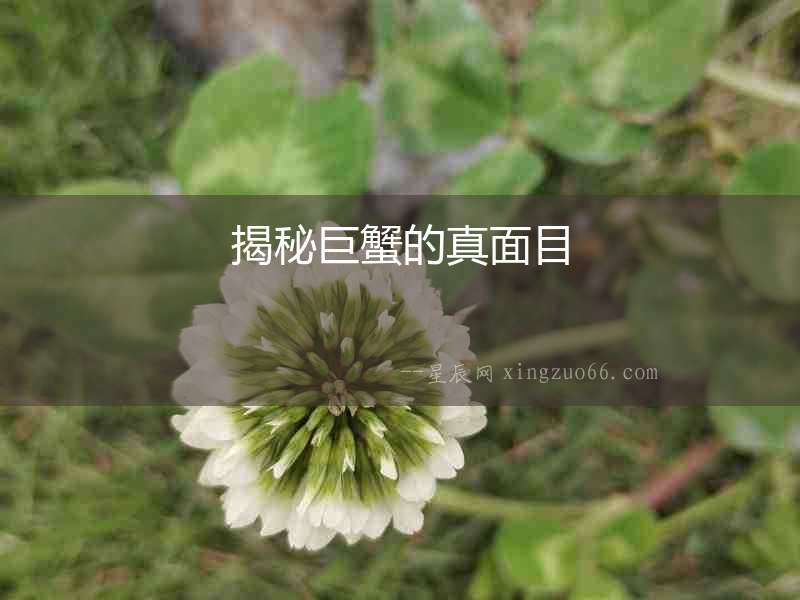 揭秘巨蟹的真面目