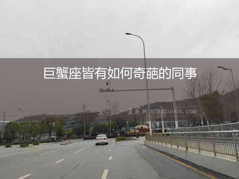 巨蟹座皆有如何奇葩的同事