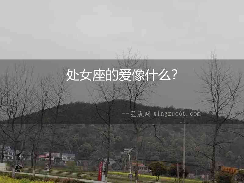 處女座的愛像什么？