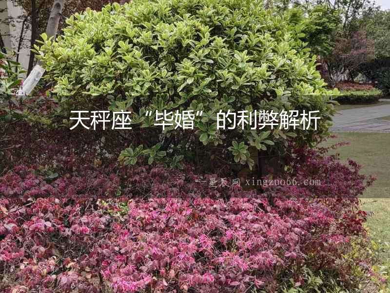 天秤座“畢婚”的利弊解析