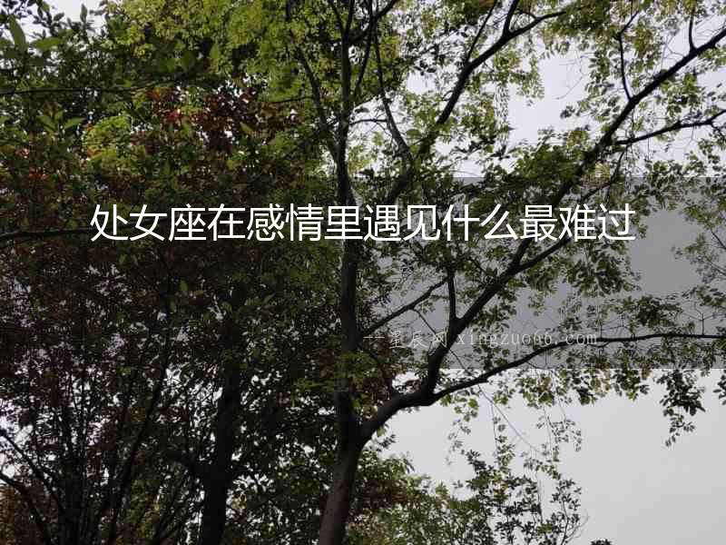 處女座在感情里遇見(jiàn)什么最難過(guò)