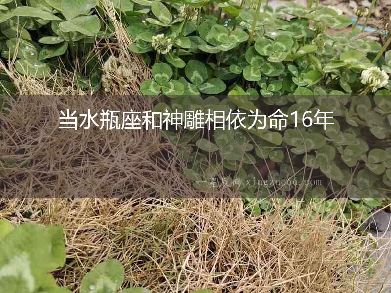 當水瓶座和神雕相依為命16年