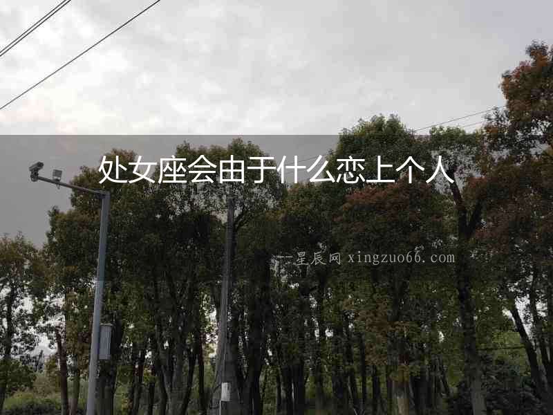 處女座會由于什么戀上個人