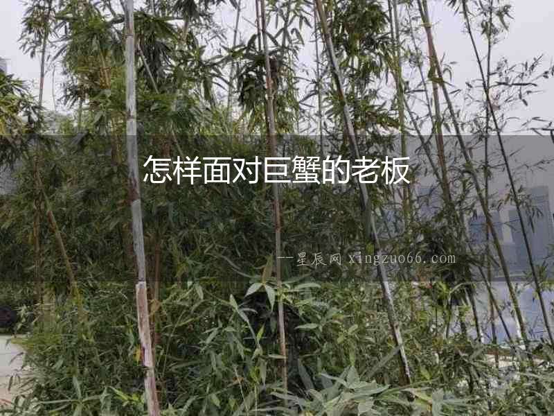 怎樣面對(duì)巨蟹的老板