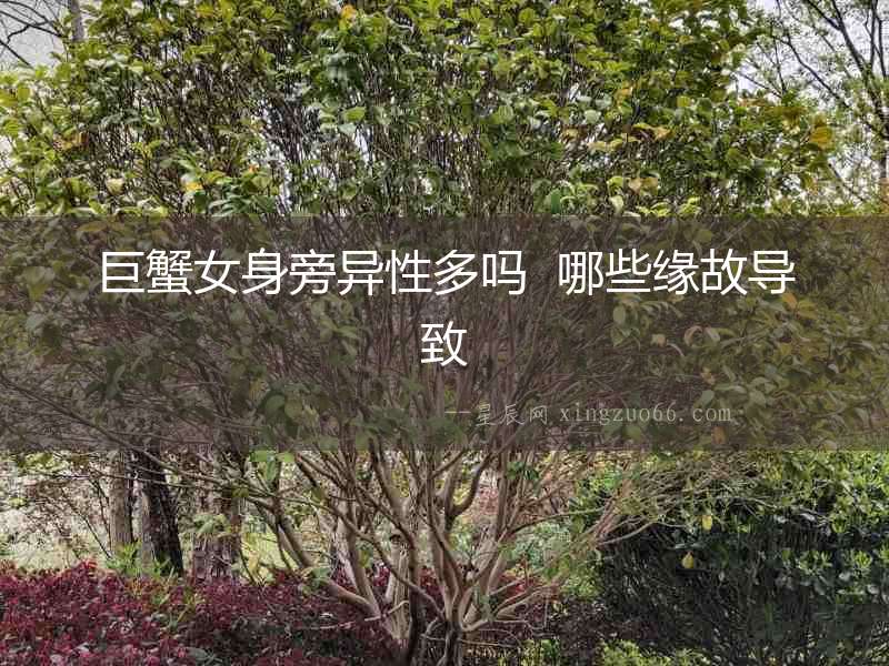 巨蟹女身旁異性多嗎  哪些緣故導致