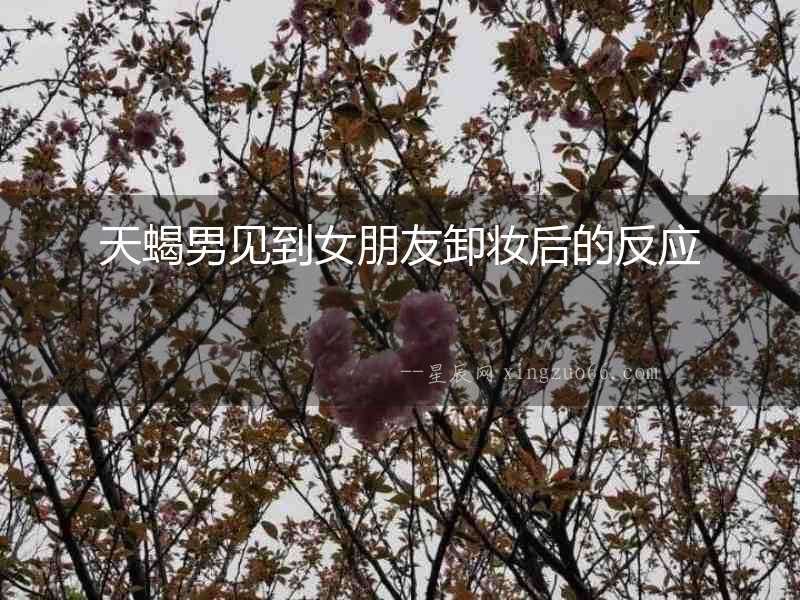 天蝎男見到女朋友卸妝后的反應