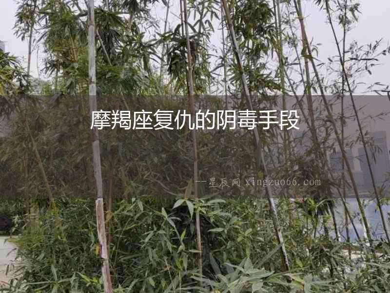 摩羯座復(fù)仇的陰毒手段