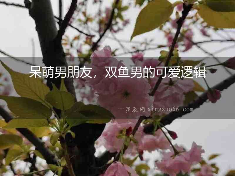 呆萌男朋友，雙魚男的可愛邏輯