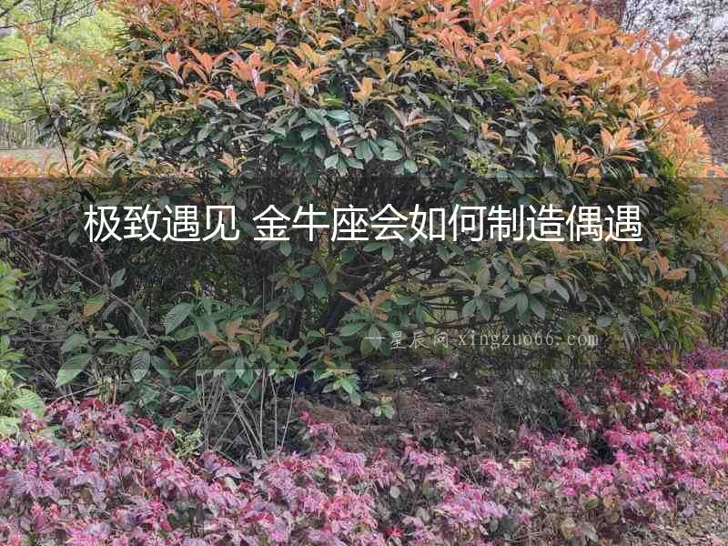 極致遇見 金牛座會如何制造偶遇