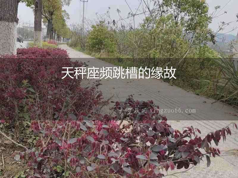 天秤座頻跳槽的緣故