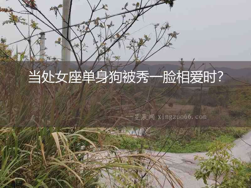 當(dāng)處女座單身狗被秀一臉相愛時？