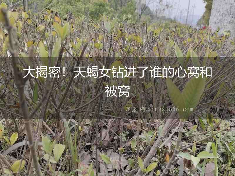 大揭密！天蝎女鉆進了誰的心窩和被窩