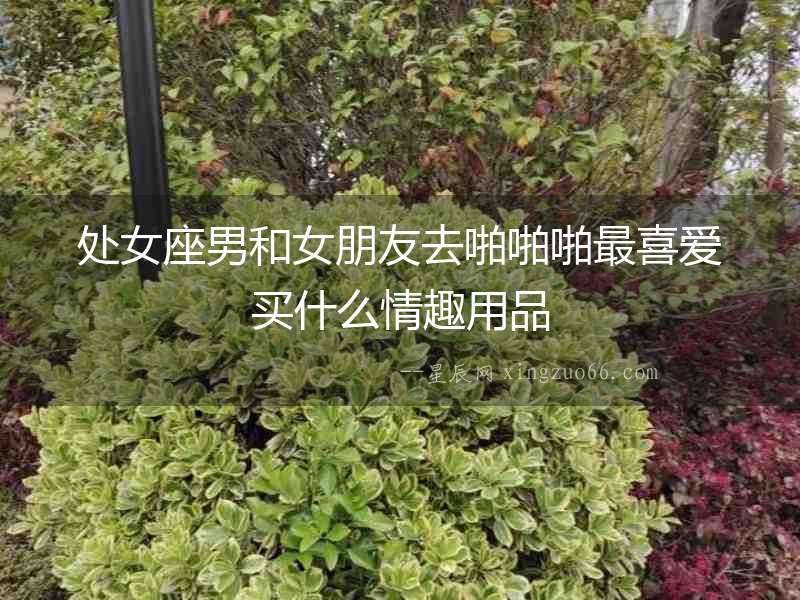 處女座男和女朋友去啪啪啪最喜愛買什么情趣用品