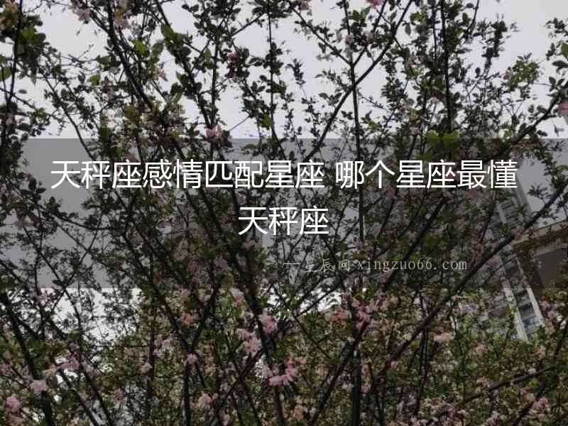 天秤座感情匹配星座 哪個星座最懂天秤座