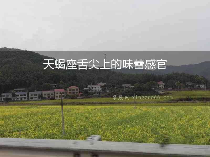 天蝎座舌尖上的味蕾感官