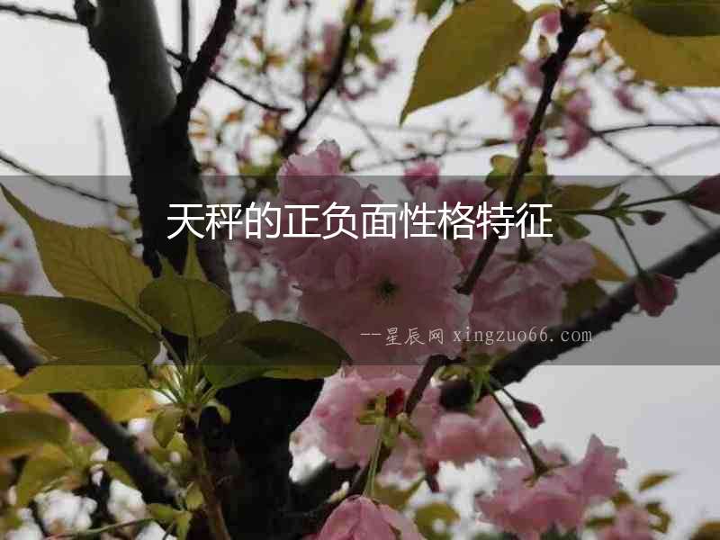 天秤的正負面性格特征