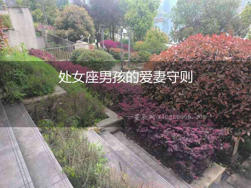 處女座男孩的愛妻守則