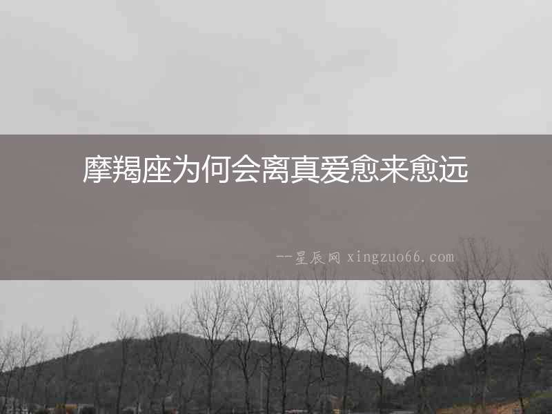 摩羯座為何會離真愛愈來愈遠