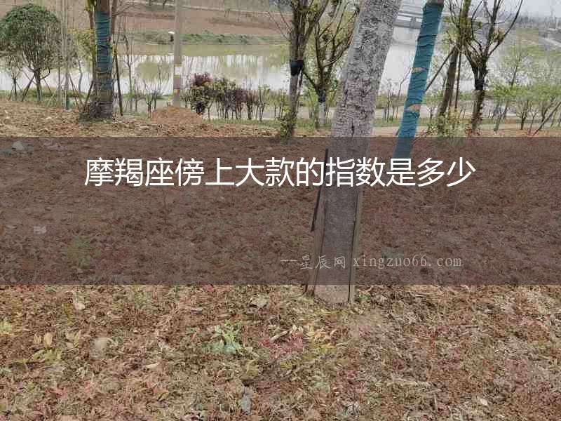 摩羯座傍上大款的指數是多少
