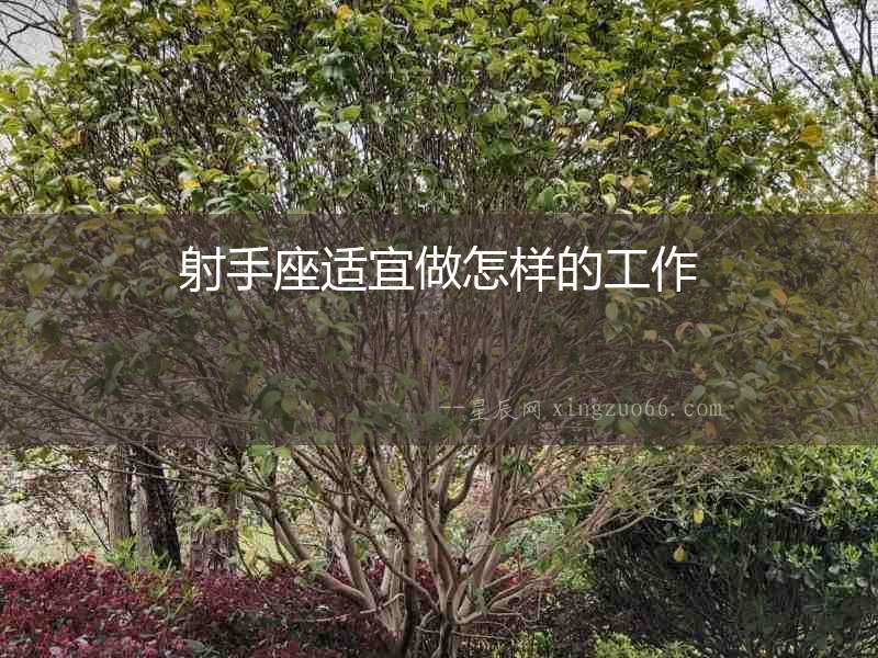射手座適宜做怎樣的工作