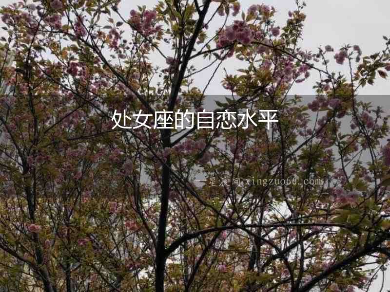 處女座的自戀水平
