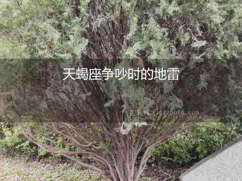 天蝎座爭吵時的地雷