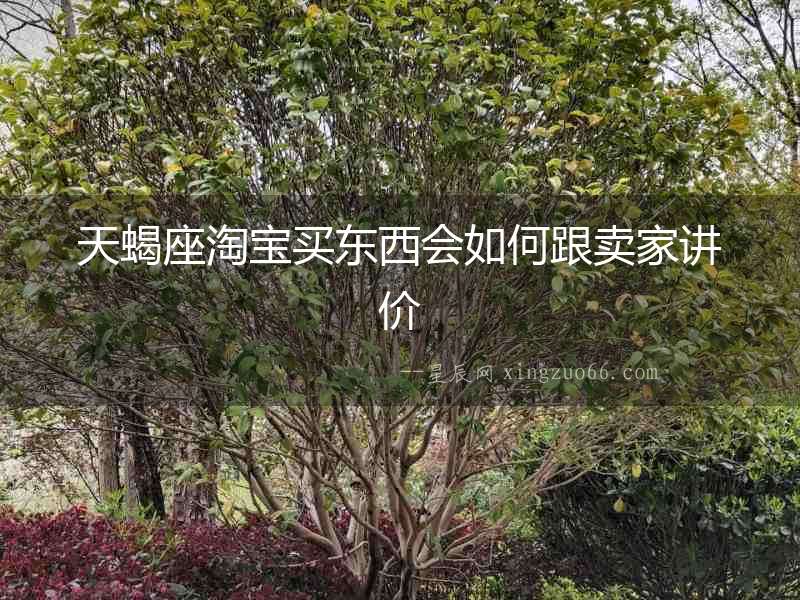 天蝎座淘寶買東西會如何跟賣家講價