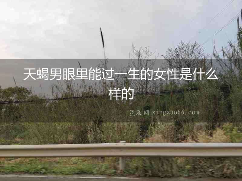 天蝎男眼里能過一生的女性是什么樣的