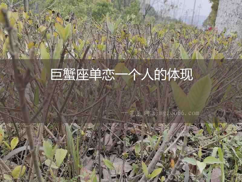 巨蟹座單戀一個人的體現