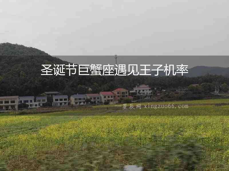 圣誕節(jié)巨蟹座遇見(jiàn)王子機(jī)率