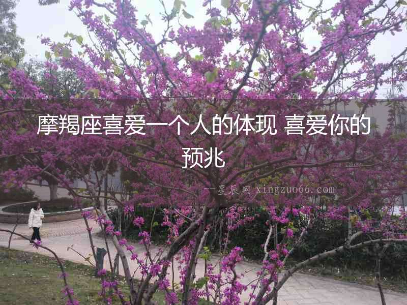 摩羯座喜愛一個人的體現 喜愛你的預兆