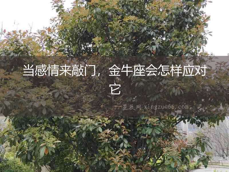 當感情來敲門，金牛座會怎樣應對它