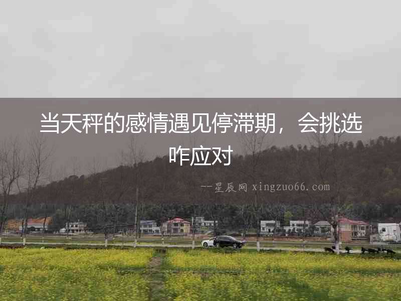 當天秤的感情遇見停滯期，會挑選咋應對