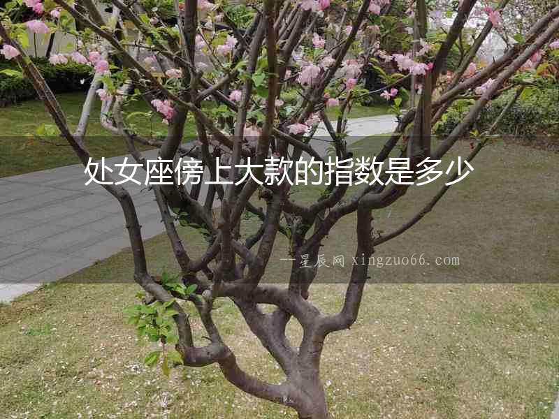 處女座傍上大款的指數是多少
