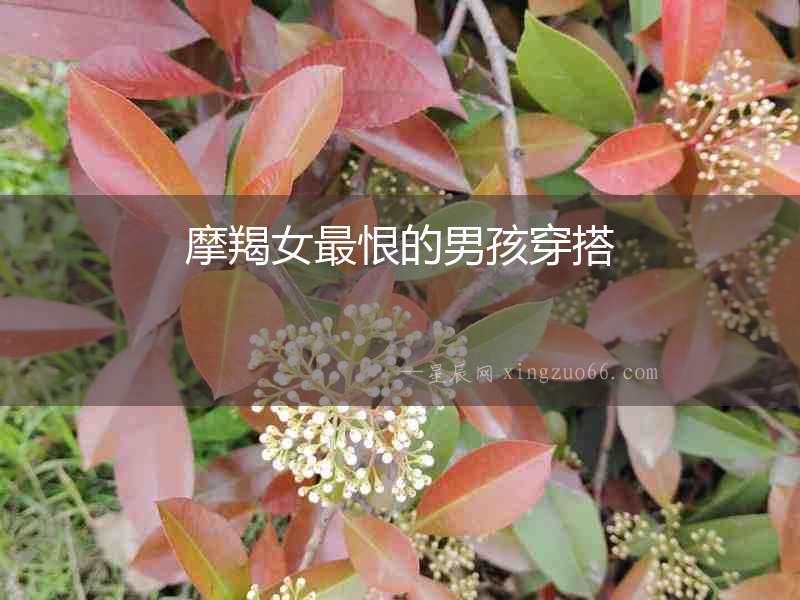 摩羯女最恨的男孩穿搭