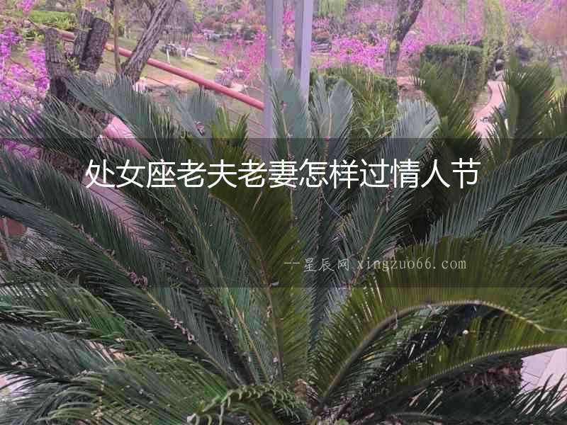 處女座老夫老妻怎樣過情人節(jié)