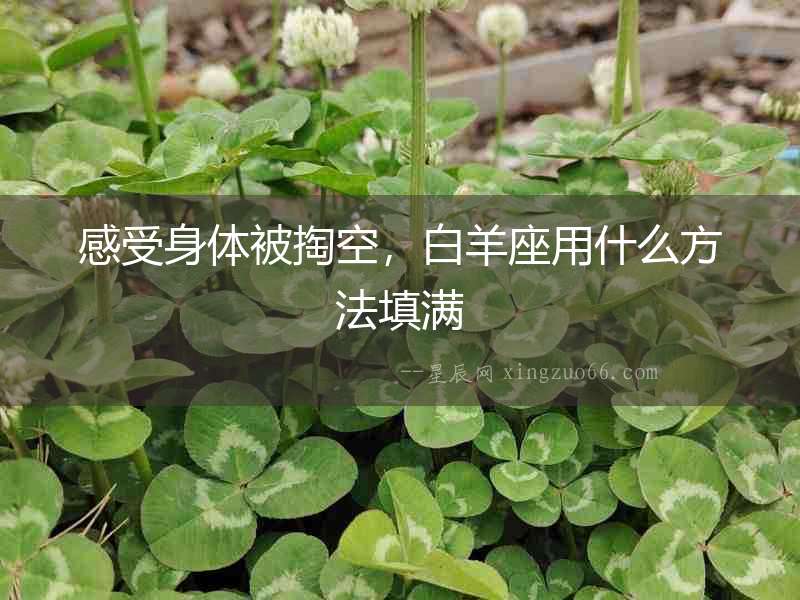 感受身體被掏空，白羊座用什么方法填滿