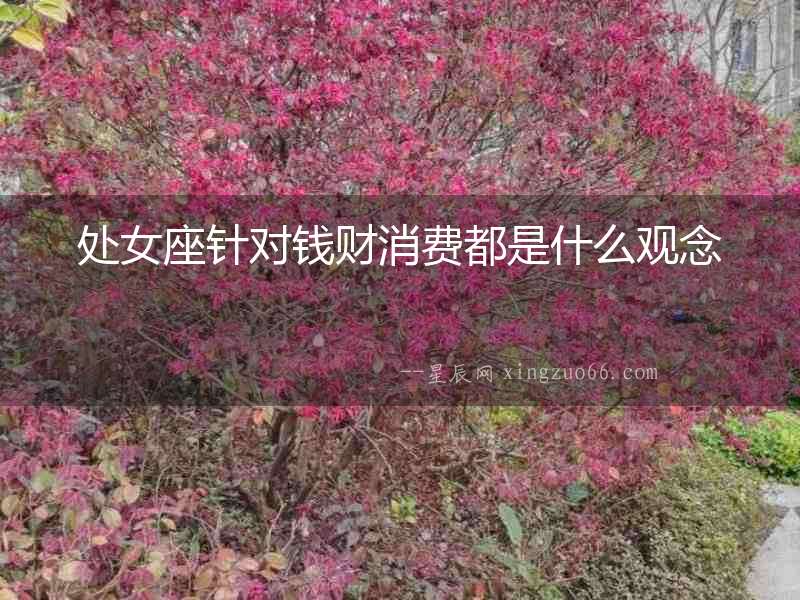 處女座針對(duì)錢(qián)財(cái)消費(fèi)都是什么觀念