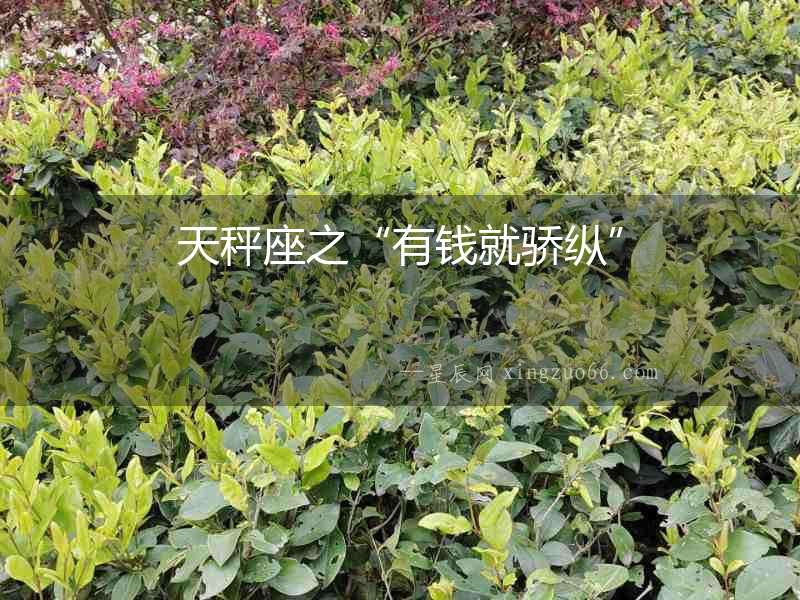 天秤座之“有錢就驕縱”
