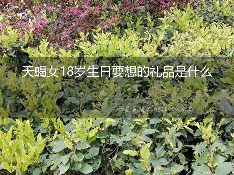 天蝎女18歲生日要想的禮品是什么