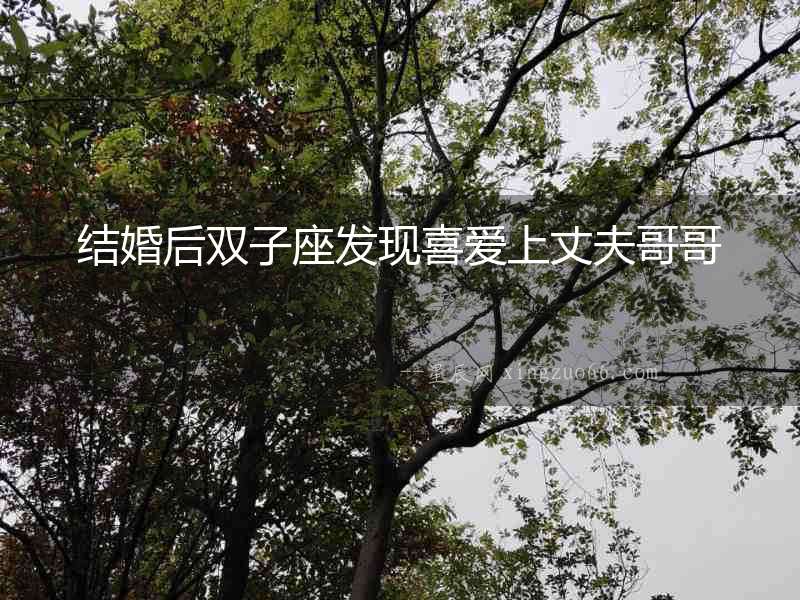 結婚后雙子座發現喜愛上丈夫哥哥