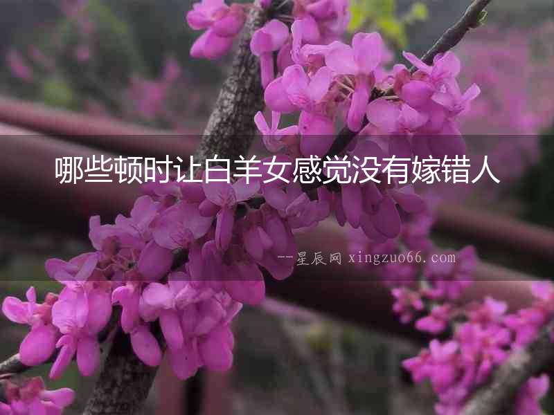 哪些頓時讓白羊女感覺沒有嫁錯人