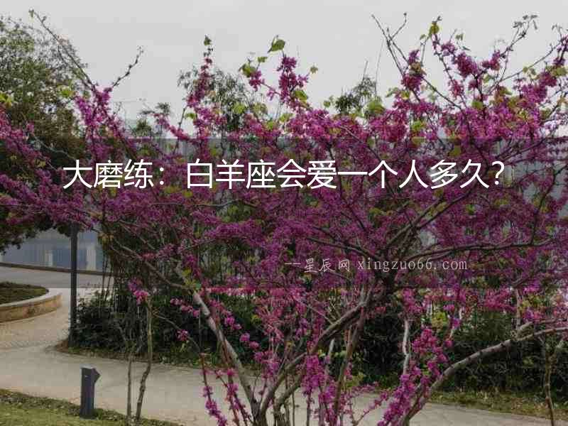 大磨練：白羊座會愛一個人多久？