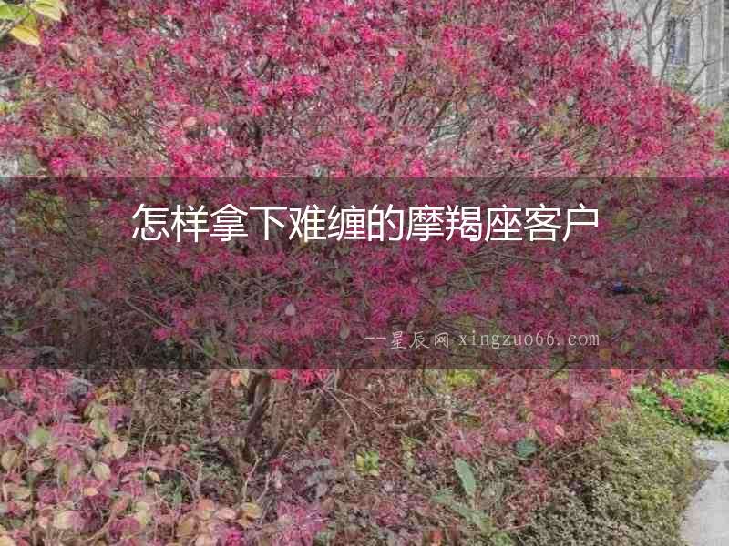 怎樣拿下難纏的摩羯座客戶
