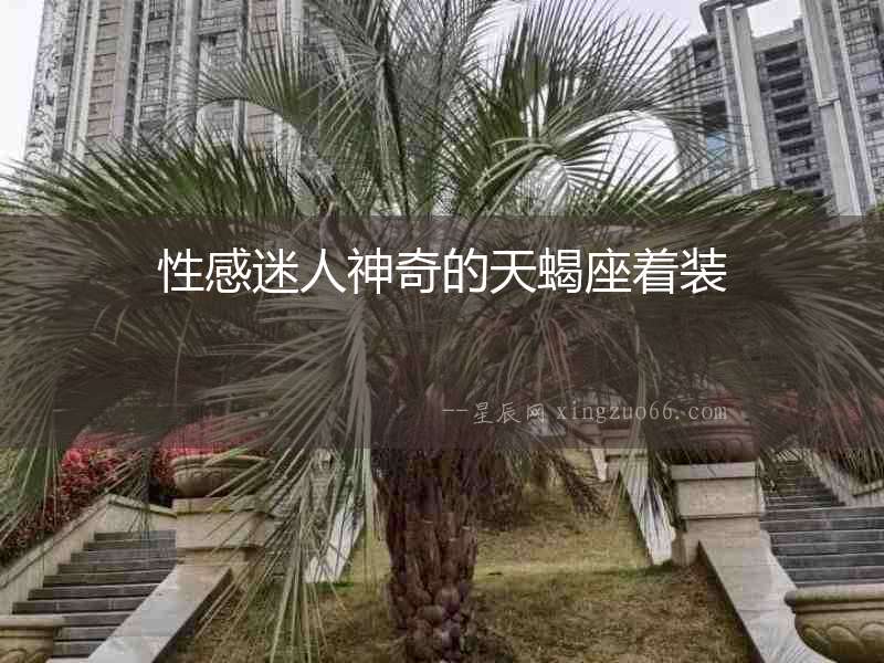 性感迷人神奇的天蝎座著裝