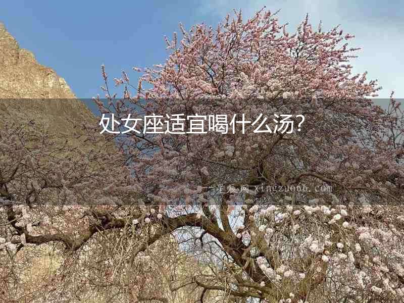 處女座適宜喝什么湯？