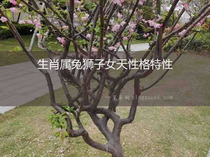 生肖屬兔獅子女天性格特性