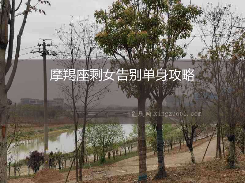摩羯座剩女告別單身攻略