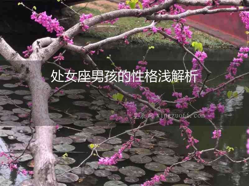 處女座男孩的性格淺解析
