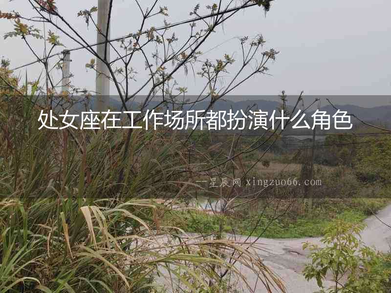 處女座在工作場所都扮演什么角色